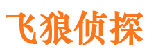 龙胜市私家侦探公司